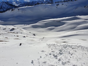 Zeige Bild