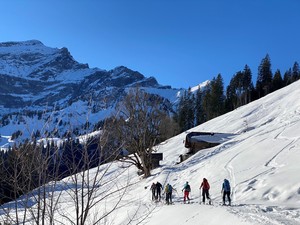 In der wärmenden Sonne