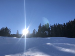 Zeige Bild