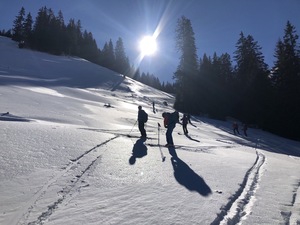 Zeige Bild