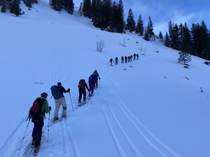 Mittelalpigle