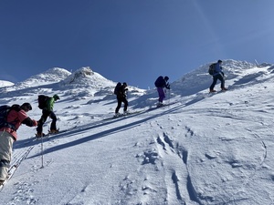 Alpiglemäre