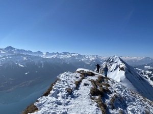 Zeige Bild