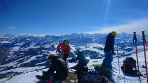 Zeige Bild