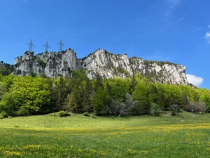 Rüttelhorn