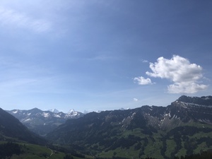 Zeige Bild