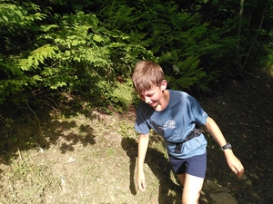 Es ist heiss, auch im Wald