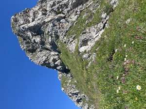 Zeige Bild