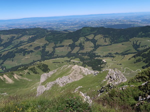 Zeige Bild