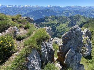 Zeige Bild