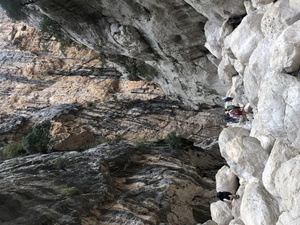 Gola gorruppu