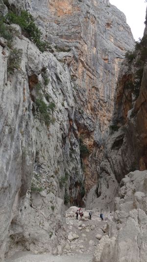 Gola Gorruppu