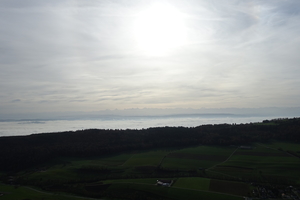 Zeige Bild