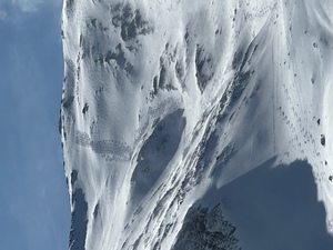 Zeige Bild