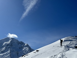 Zeige Bild