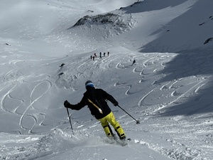 Zeige Bild