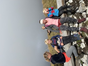 Zeige Bild