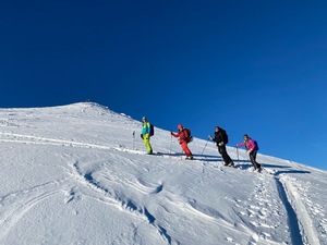 Zeige Bild