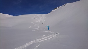 Zeige Bild