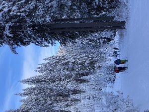 Aufstieg durch den schön verschneiten Wald