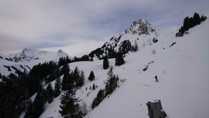 Zeige Bild