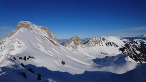 Zeige Bild