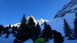 Zeige Bild