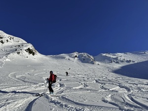 Zeige Bild