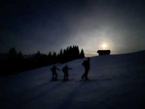 Zeige Bild