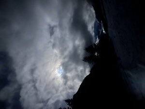 Zeige Bild