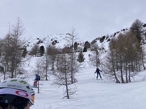 Baumslalom