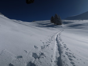 Aufstieg zum Grenchegalm