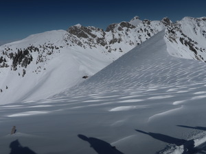 Hahne und Alpigle im Hintergrund