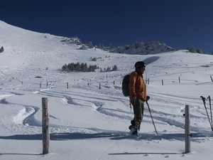 Abfahrt Alpiglemäre, Frilismad