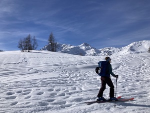 Zeige Bild