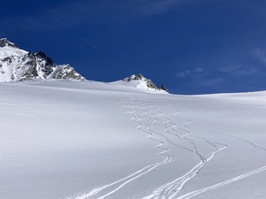 Zeige Bild