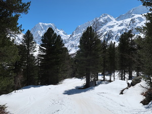 Mont Collin von Arolla