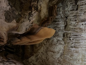 Grotte di Borgio Verezzi