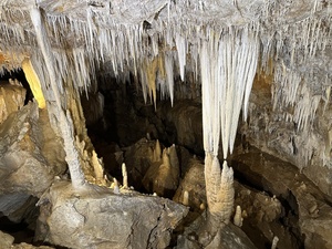 Grotte di Borgio Verezzi