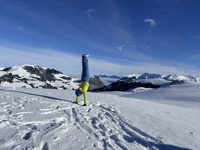 Zeige Bild