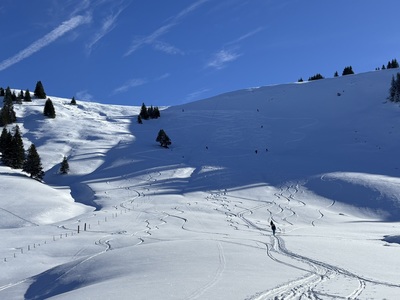 Schoene Abfahrt im Powder