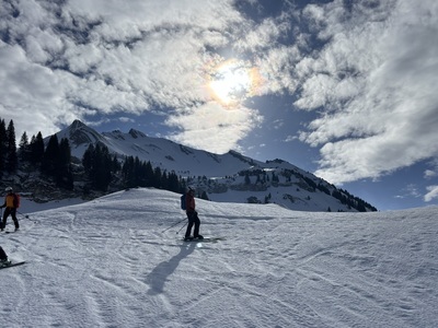 Zeige Bild