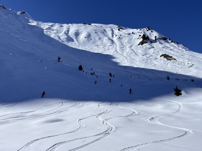 Zeige Bild