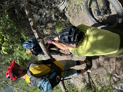 Holzen mit einer S&auml;gekette