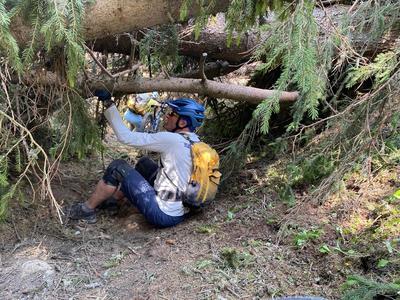 J&uuml;rg am holzen (mit S&auml;ge)