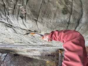 Demo Haken setzen oder weiteren speziellen Sicherungsger&auml;ten