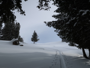 Tourenbericht