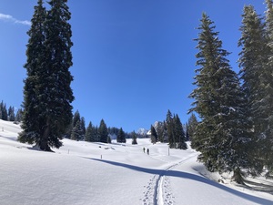 Tourenbericht