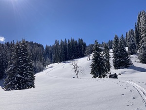 Tourenbericht