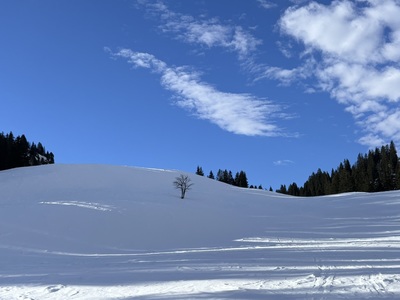 Tourenbericht
